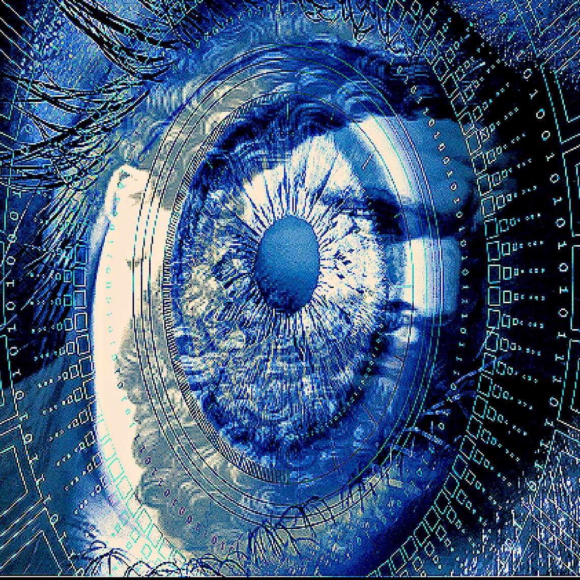 Eye vision integrity supplement