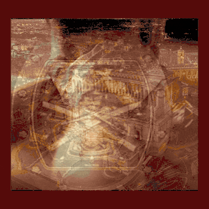 Finding Your life Purpose via Journey of Home Optimized Humans