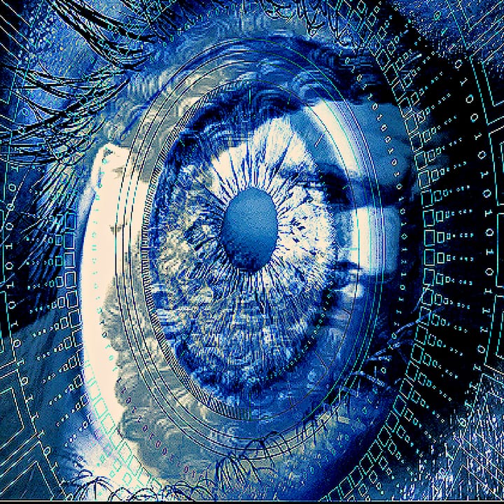 Eye vision integrity supplement