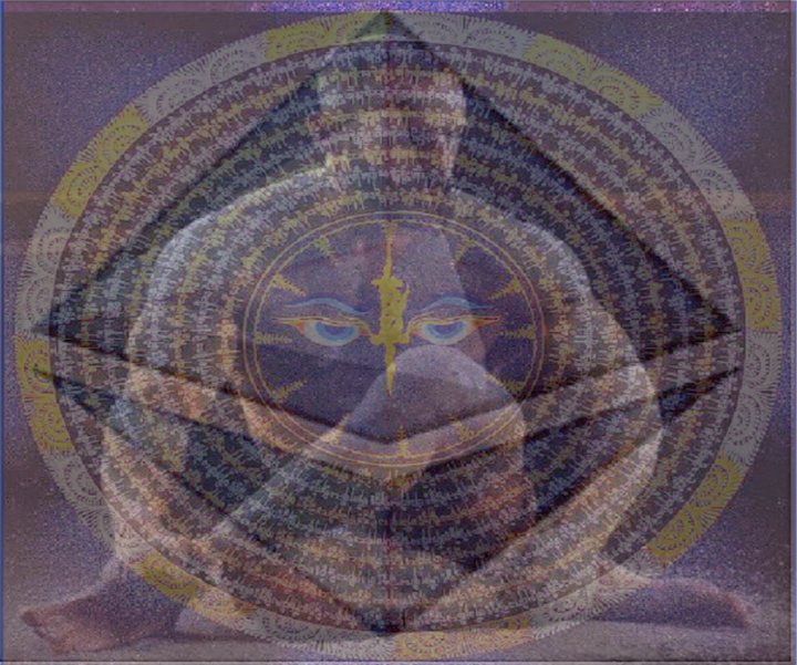 Pine Pollen: Nature's Remarkable Phyto-Androgen for Optimizing Male Hormonal Health